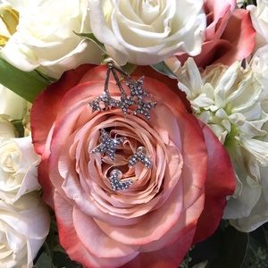 4 Piece Stars Silver Plated Fashion Earring Set